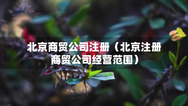 北京商貿(mào)公司注冊(cè)（北京注冊(cè)商貿(mào)公司經(jīng)營(yíng)范圍）