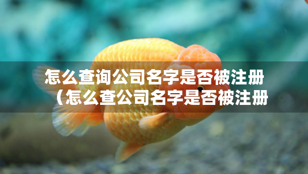 怎么查詢公司名字是否被注冊(cè)（怎么查公司名字是否被注冊(cè)過(guò)）