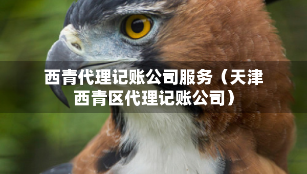 西青代理記賬公司服務（天津西青區(qū)代理記賬公司）