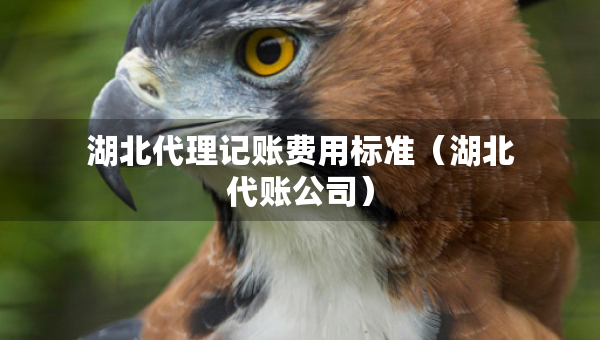 湖北代理記賬費(fèi)用標(biāo)準(zhǔn)（湖北代賬公司）