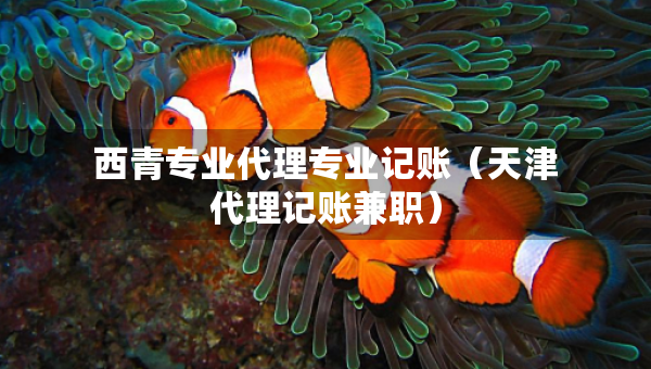 西青專業(yè)代理專業(yè)記賬（天津代理記賬兼職）
