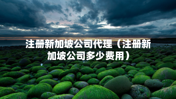 注冊新加坡公司代理（注冊新加坡公司多少費用）