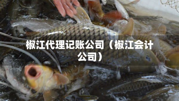 椒江代理記賬公司（椒江會計公司）