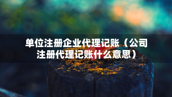 單位注冊企業(yè)代理記賬（公司注冊代理記賬什么意思）