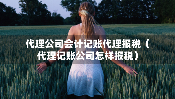 代理公司會計記賬代理報稅（代理記賬公司怎樣報稅）