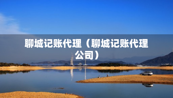 聊城記賬代理（聊城記賬代理公司）