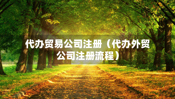 代辦貿(mào)易公司注冊（代辦外貿(mào)公司注冊流程）