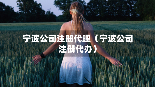 寧波公司注冊(cè)代理（寧波公司注冊(cè)代辦）