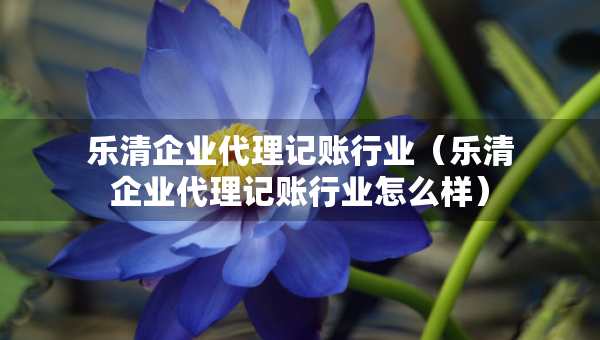 樂清企業(yè)代理記賬行業(yè)（樂清企業(yè)代理記賬行業(yè)怎么樣）