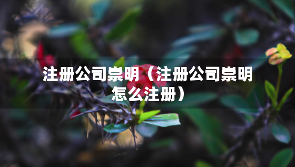 注冊(cè)公司崇明（注冊(cè)公司崇明怎么注冊(cè)）