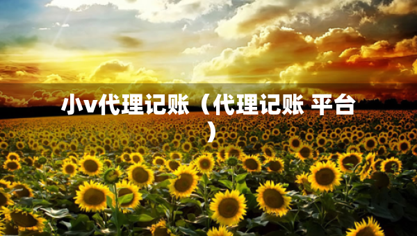 小v代理記賬（代理記賬 平臺(tái)）