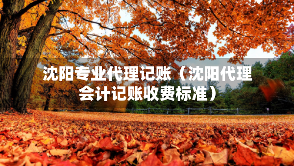 沈陽專業(yè)代理記賬（沈陽代理會計(jì)記賬收費(fèi)標(biāo)準(zhǔn)）