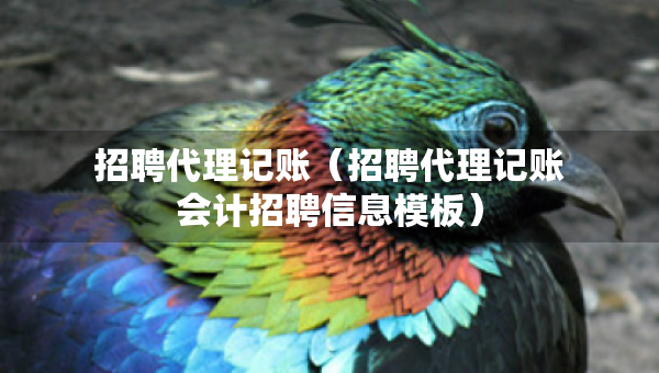 招聘代理記賬（招聘代理記賬會(huì)計(jì)招聘信息模板）