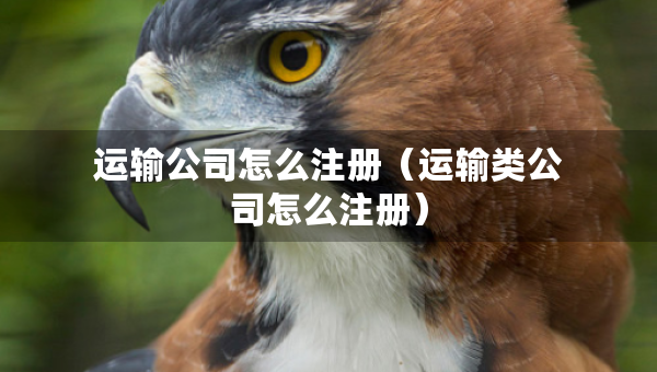 運輸公司怎么注冊（運輸類公司怎么注冊）