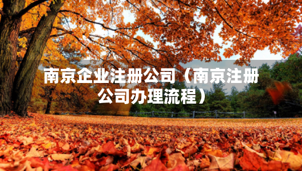 南京企業(yè)注冊(cè)公司（南京注冊(cè)公司辦理流程）