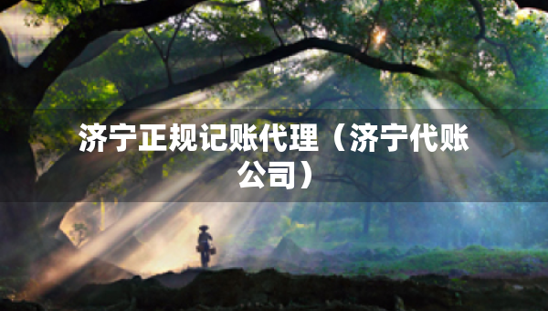 濟(jì)寧正規(guī)記賬代理（濟(jì)寧代賬公司）