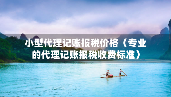 小型代理記賬報稅價格（專業(yè)的代理記賬報稅收費(fèi)標(biāo)準(zhǔn)）