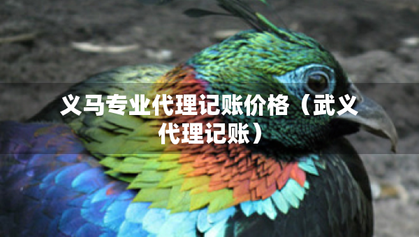 義馬專業(yè)代理記賬價格（武義代理記賬）