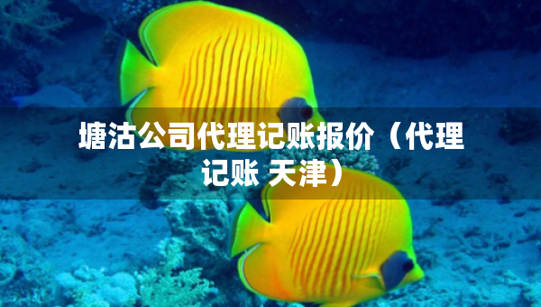 塘沽公司代理記賬報(bào)價(jià)（代理記賬 天津）