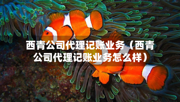 西青公司代理記賬業(yè)務(wù)（西青公司代理記賬業(yè)務(wù)怎么樣）