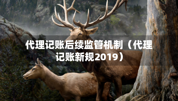 代理記賬后續(xù)監(jiān)管機制（代理記賬新規(guī)2019）