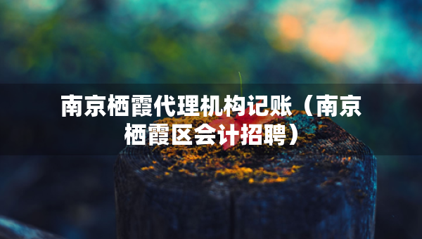 南京棲霞代理機(jī)構(gòu)記賬（南京棲霞區(qū)會(huì)計(jì)招聘）
