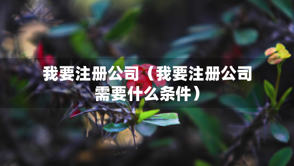 我要注冊公司（我要注冊公司需要什么條件）