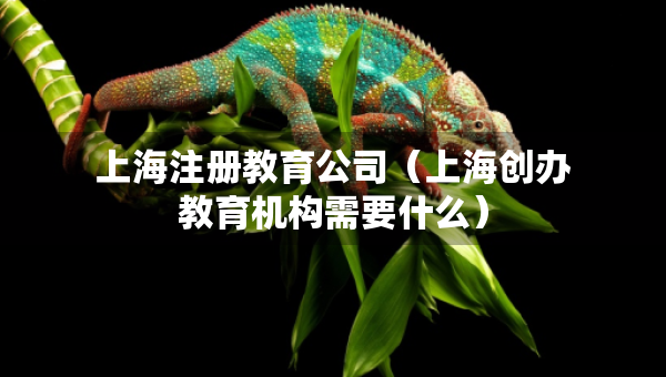 上海注冊教育公司（上海創(chuàng)辦教育機構需要什么）