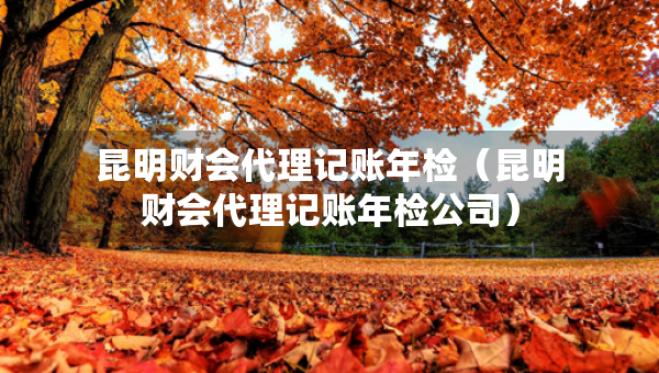 昆明財(cái)會(huì)代理記賬年檢（昆明財(cái)會(huì)代理記賬年檢公司）