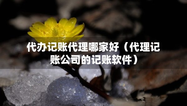 代辦記賬代理哪家好（代理記賬公司的記賬軟件）