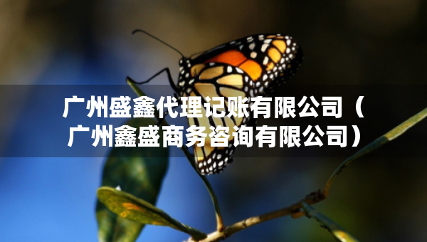 廣州盛鑫代理記賬有限公司（廣州鑫盛商務(wù)咨詢有限公司）
