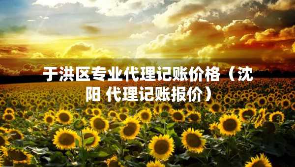 于洪區(qū)專業(yè)代理記賬價格（沈陽 代理記賬報價）