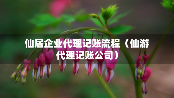 仙居企業(yè)代理記賬流程（仙游代理記賬公司）