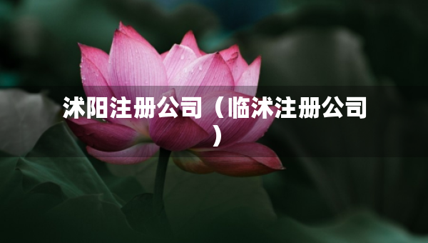 沭陽(yáng)注冊(cè)公司（臨沭注冊(cè)公司）