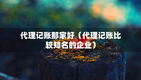 代理記賬那家好（代理記賬比較知名的企業(yè)）