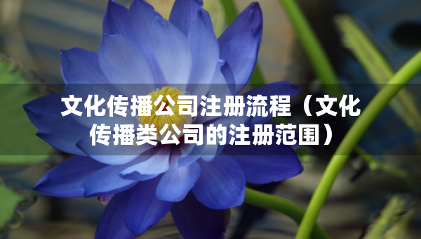 文化傳播公司注冊(cè)流程（文化傳播類(lèi)公司的注冊(cè)范圍）