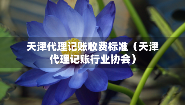天津代理記賬收費(fèi)標(biāo)準(zhǔn)（天津代理記賬行業(yè)協(xié)會(huì)）