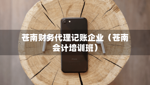 蒼南財務(wù)代理記賬企業(yè)（蒼南會計培訓班）