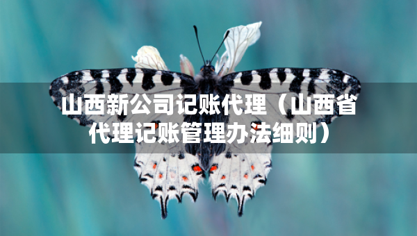 山西新公司記賬代理（山西省代理記賬管理辦法細則）
