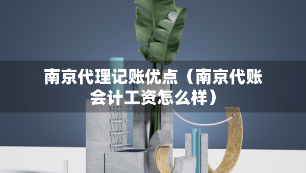 南京代理記賬優(yōu)點(diǎn)（南京代賬會(huì)計(jì)工資怎么樣）