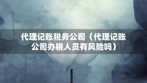 代理記賬稅務(wù)公司（代理記賬公司辦稅人員有風險嗎）