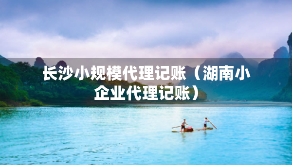 長沙小規(guī)模代理記賬（湖南小企業(yè)代理記賬）