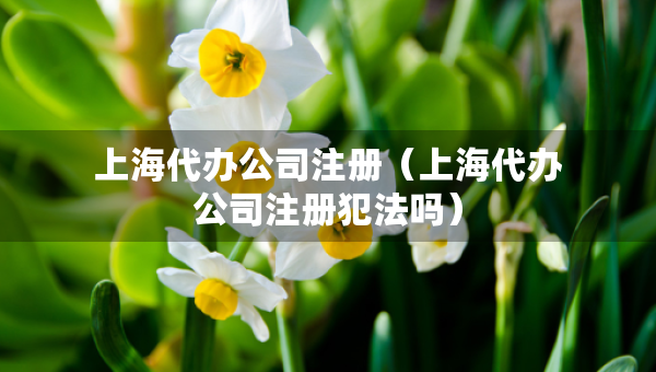 上海代辦公司注冊（上海代辦公司注冊犯法嗎）