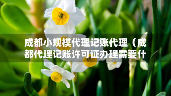 成都小規(guī)模代理記賬代理（成都代理記賬許可證辦理需要什么條件）