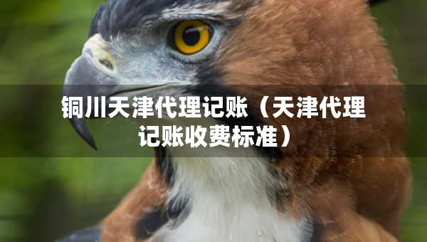 銅川天津代理記賬（天津代理記賬收費(fèi)標(biāo)準(zhǔn)）
