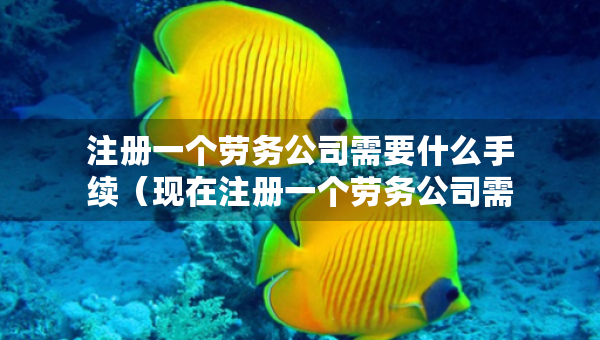 注冊(cè)一個(gè)勞務(wù)公司需要什么手續(xù)（現(xiàn)在注冊(cè)一個(gè)勞務(wù)公司需要啥資料和手續(xù)）