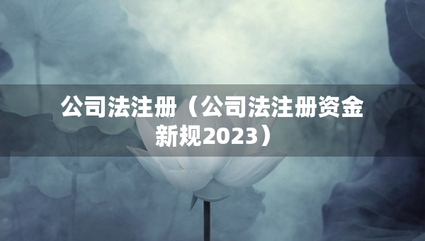 公司法注冊（公司法注冊資金新規(guī)2023）