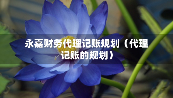 永嘉財(cái)務(wù)代理記賬規(guī)劃（代理記賬的規(guī)劃）