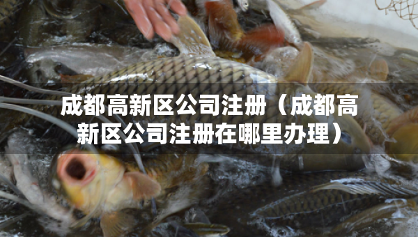成都高新區(qū)公司注冊（成都高新區(qū)公司注冊在哪里辦理）