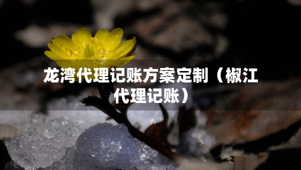 龍灣代理記賬方案定制（椒江代理記賬）